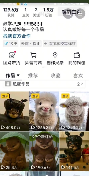 抖音65W博主AI萌宠课程，新赛道流量大，原创 二创，全套课程 提示词